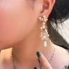 S925 Silver needle micro-set Zircon small Garden Pearl Flower earrings, long tassel full diamond set earrings wholesale Specification image
